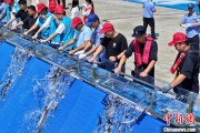 八字事业2025年全国水生生物同步增殖放流活动在福建举行