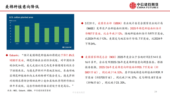 【(⏯)棉花纺谈】供应端阶段性缩量 疆棉基差坚挺